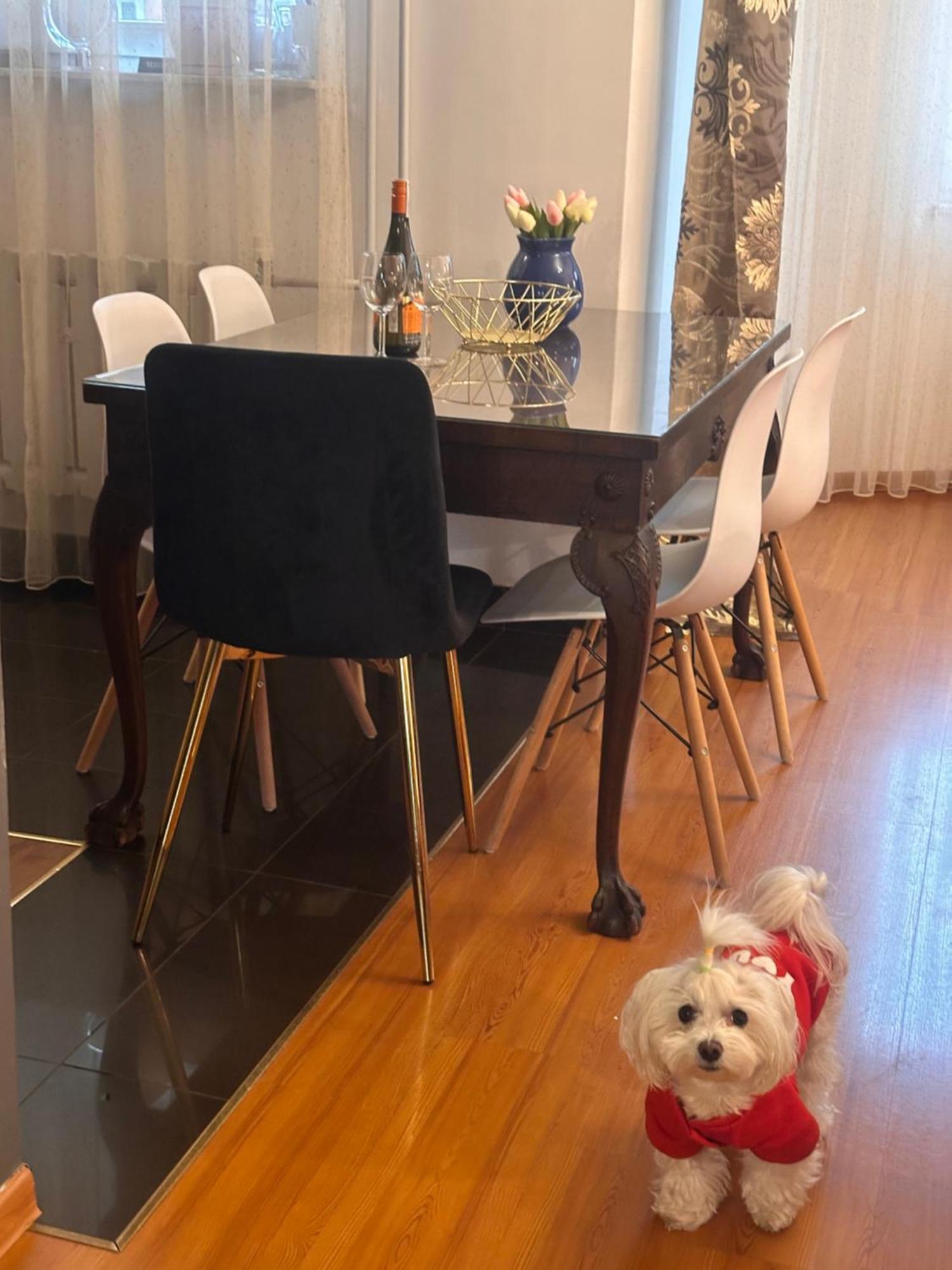 Apartament Diana - Traugutta Breslavia Esterno foto
